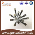 Tungsten Carrbide Barres / barres non moulues